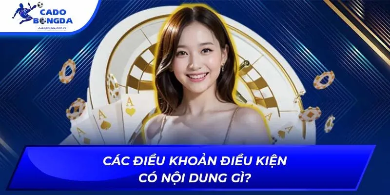 Các điều khoản điều kiện có nội dung gì?