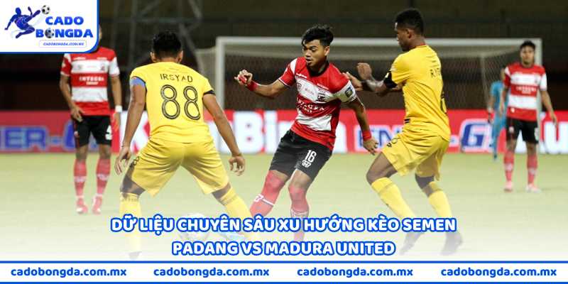 Dữ liệu chuyên sâu xu hướng kèo Semen Padang vs Madura United